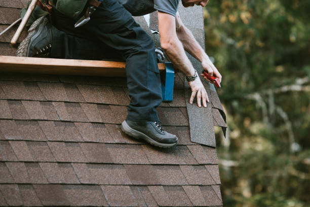 Best Roof Gutter Cleaning  in Latta, SC